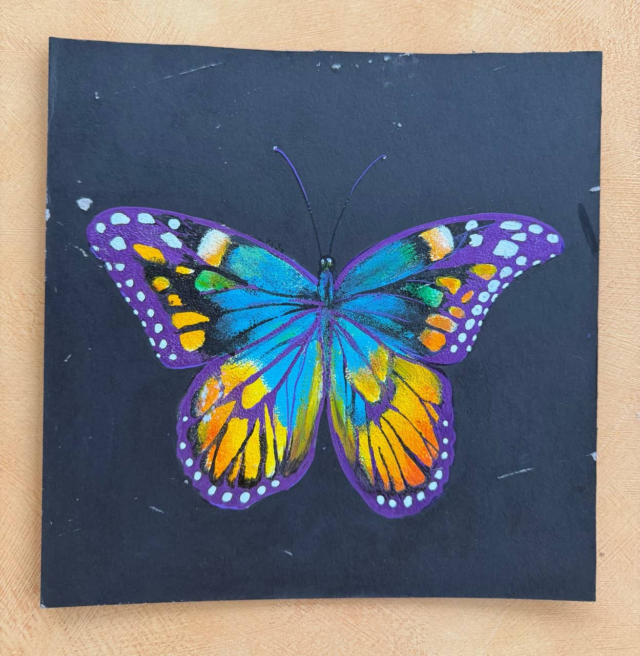 Butterfly